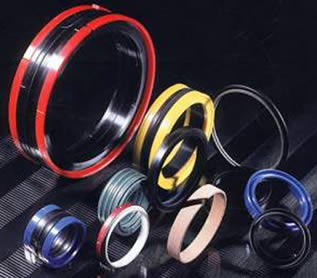 Oil Seals and O-Rings